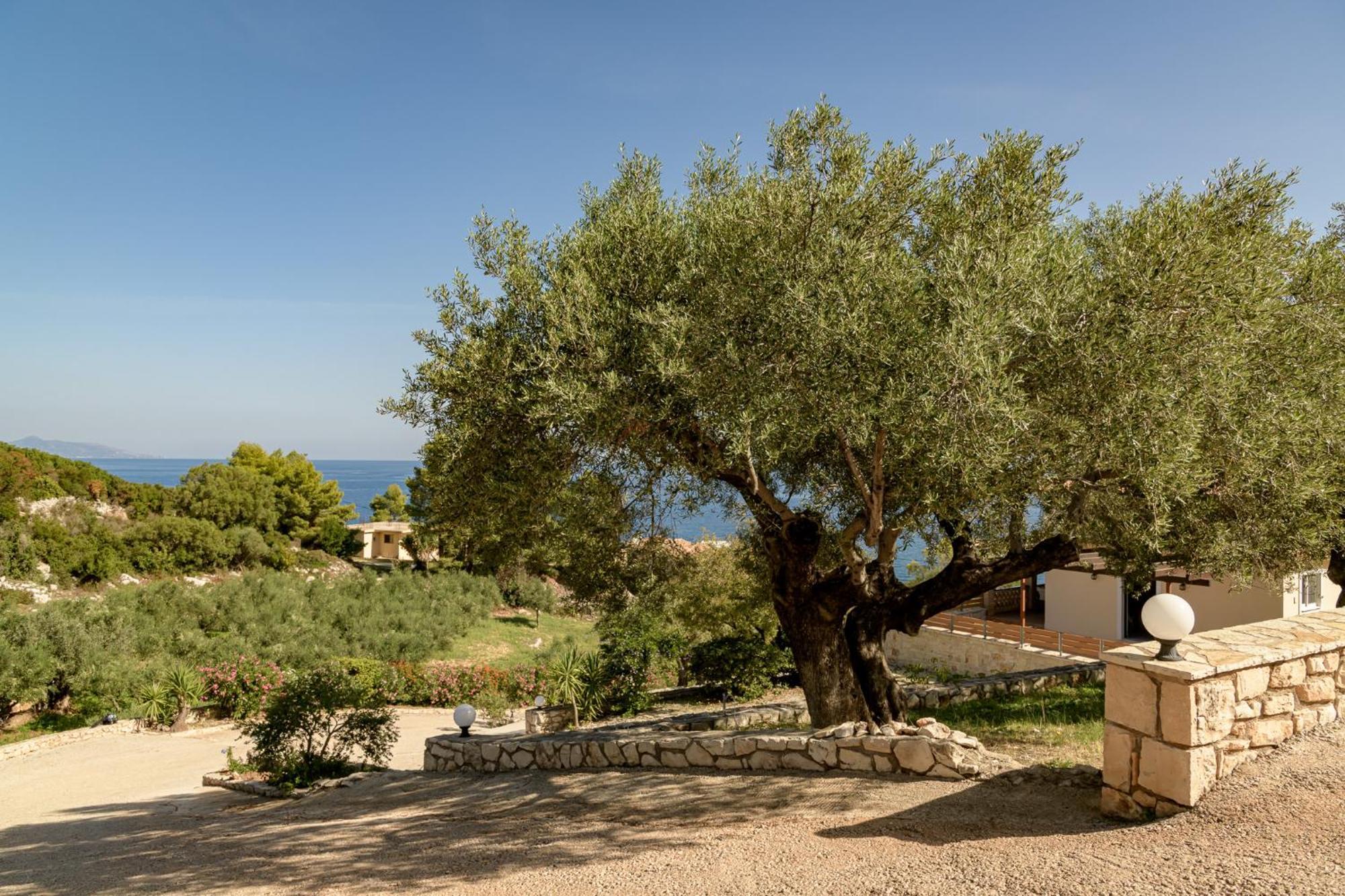 Villa Mare Studios Skinária Exterior photo